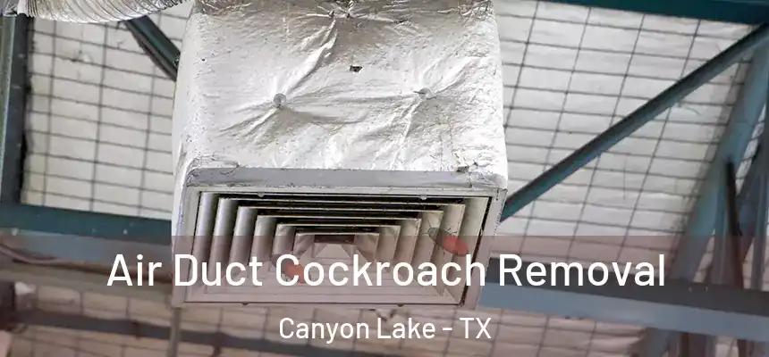 Air Duct Cockroach Removal Canyon Lake - TX