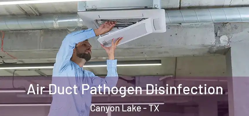 Air Duct Pathogen Disinfection Canyon Lake - TX