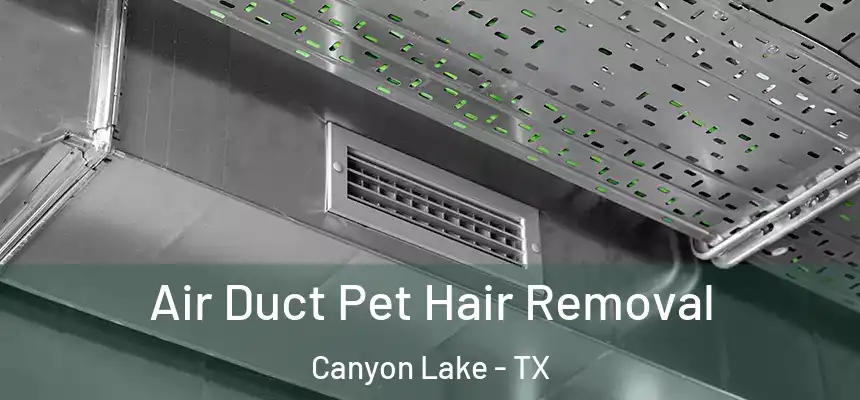 Air Duct Pet Hair Removal Canyon Lake - TX