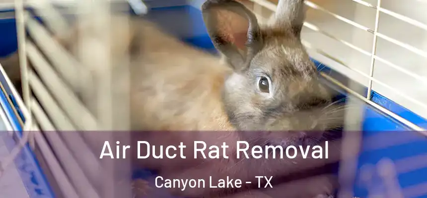  Air Duct Rat Removal Canyon Lake - TX