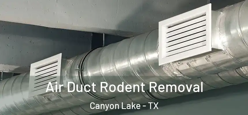 Air Duct Rodent Removal Canyon Lake - TX