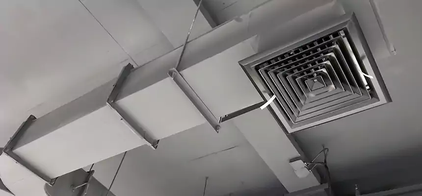 Restorative Allergy Relief Vent Cleaning – Coil, Blower & Housing Detail in Canyon Lake