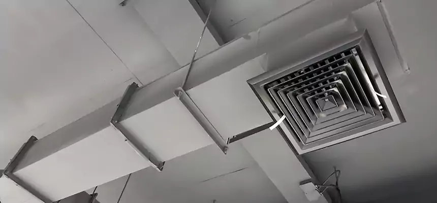 Our Rodent Droppings In Vents Services in Canyon Lake, TX