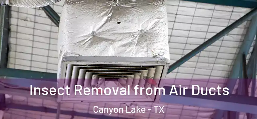 Insect Removal from Air Ducts Canyon Lake - TX