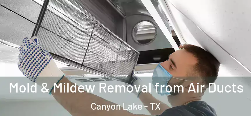  Mold & Mildew Removal from Air Ducts Canyon Lake - TX