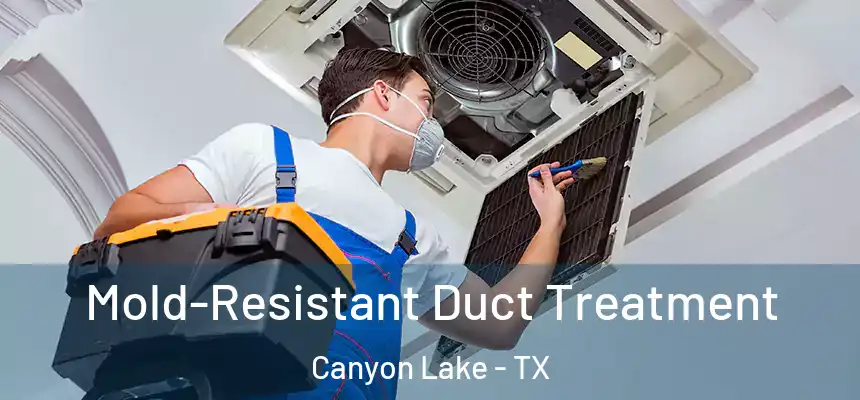  Mold-Resistant Duct Treatment Canyon Lake - TX