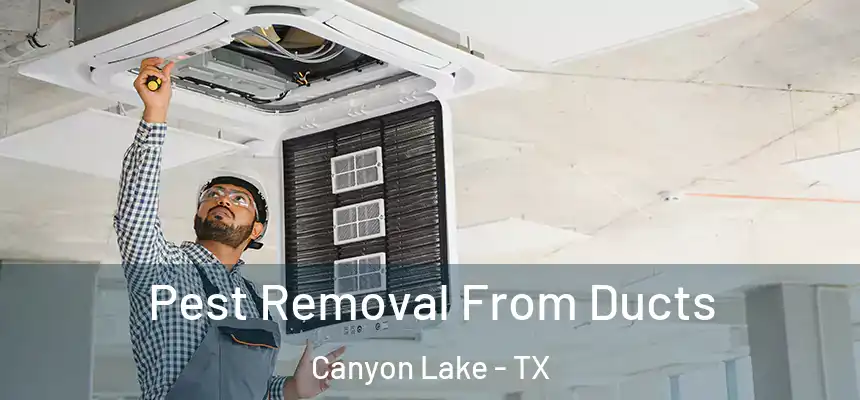 Pest Removal From Ducts Canyon Lake - TX
