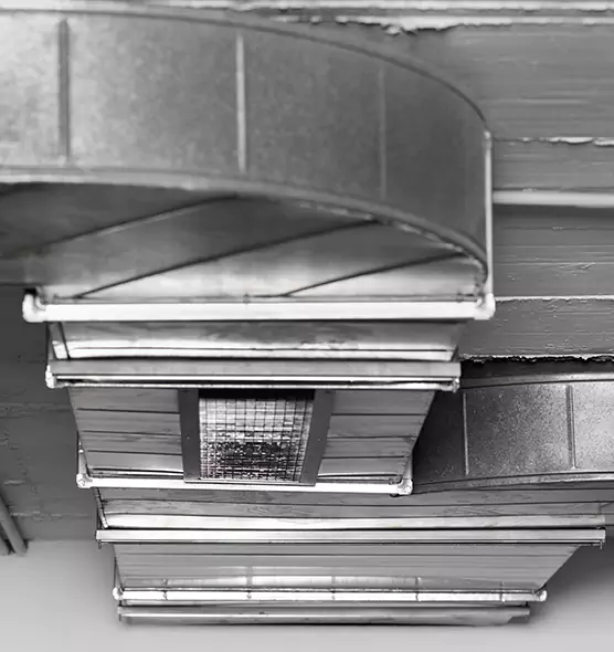 Professional Air Duct Pest Removal in Canyon Lake, TX