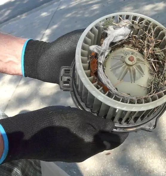 About Air Duct Rat Removal in Canyon Lake, TX