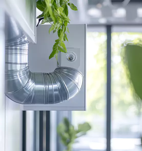 Professional Eco-Friendly Duct Cleaning Services in Canyon Lake, TX