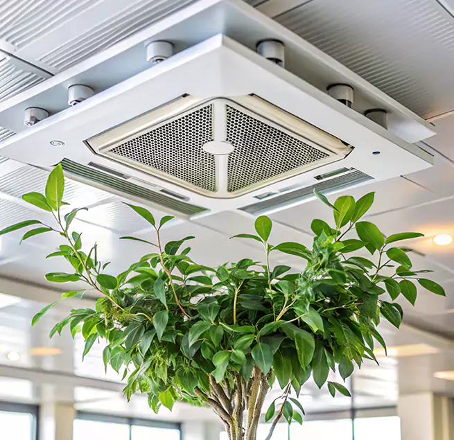 Why Homeowners & Businesses Trust Us in Canyon Lake, TX?