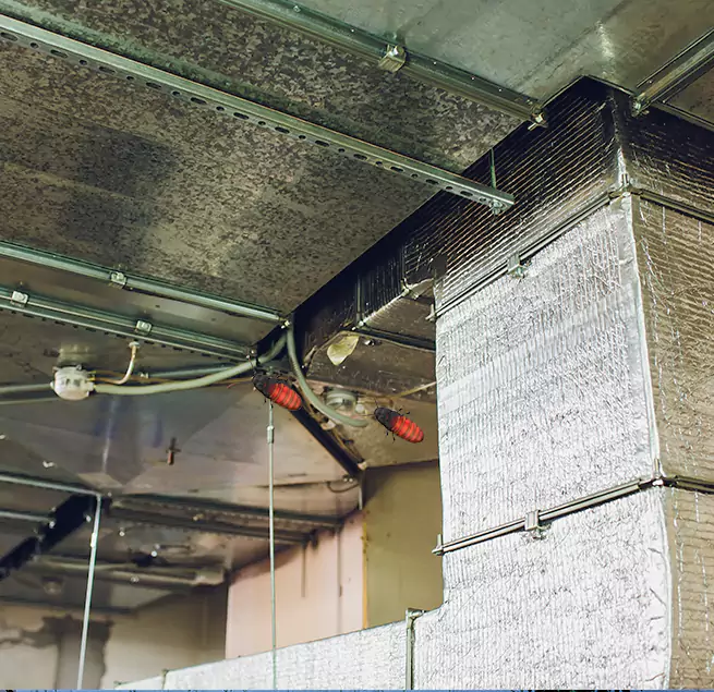 Why Homeowners & Businesses Trust Us Canyon Lake, TX?