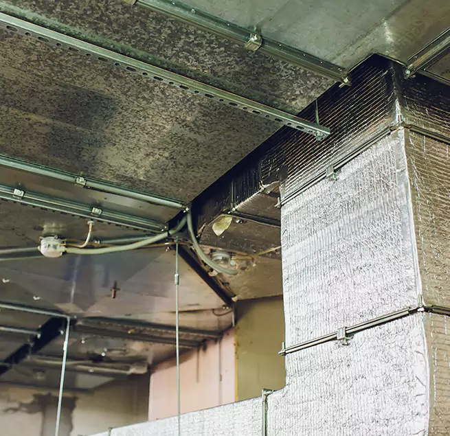 Why Homeowners & Businesses Trust Us in Canyon Lake, TX?